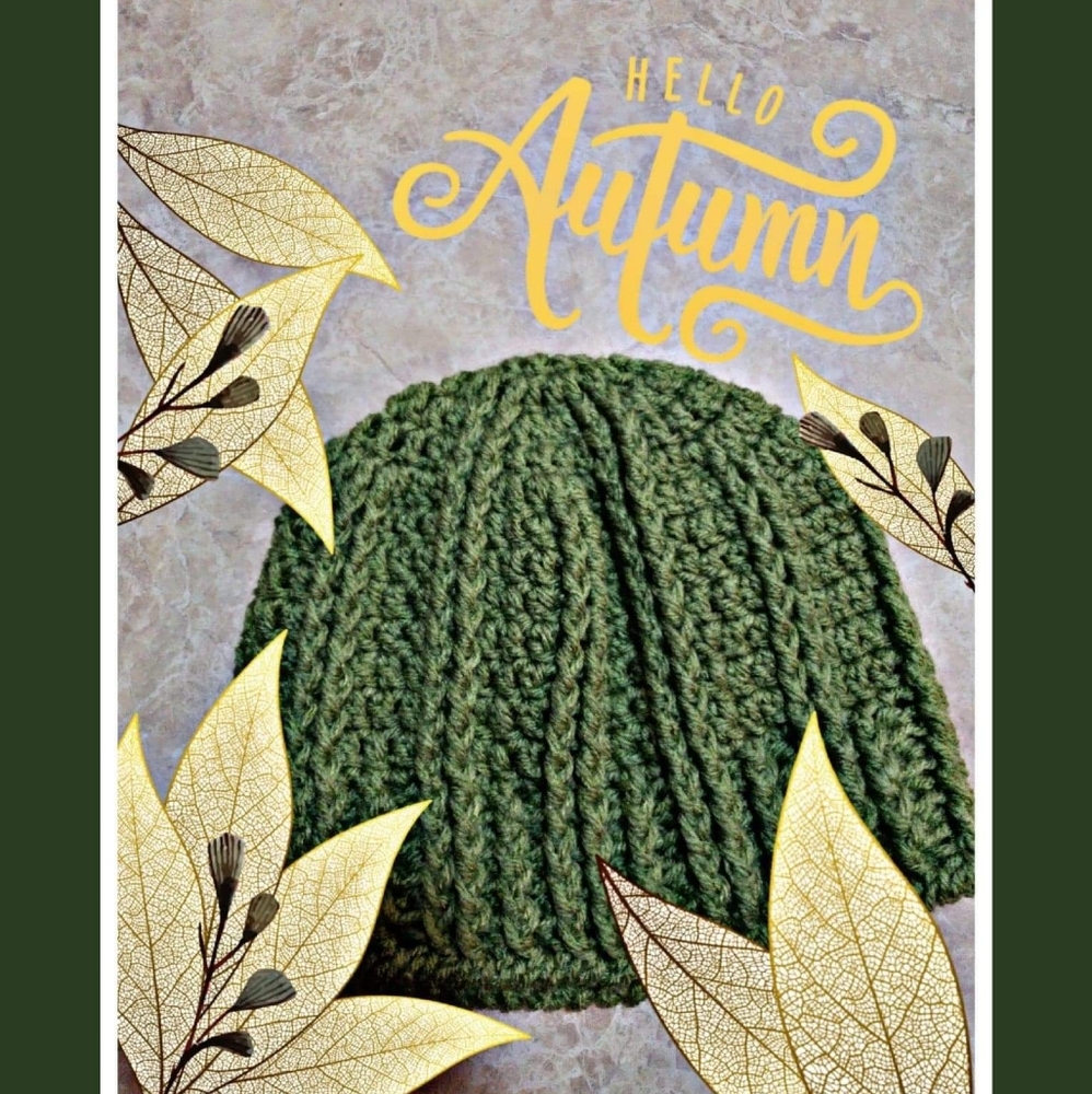 Beanie Hat / Crocheted